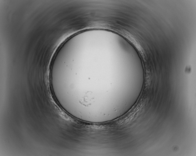 X0000098140996200805011339