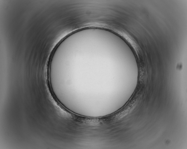 X0000098140999200805011339