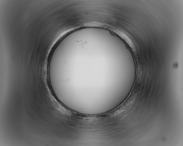 X0000098141000200805011339