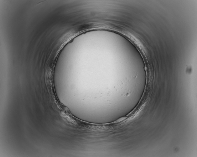 X0000098141001200805011339