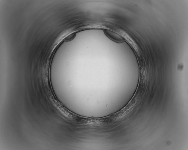 X0000098141002200805011339