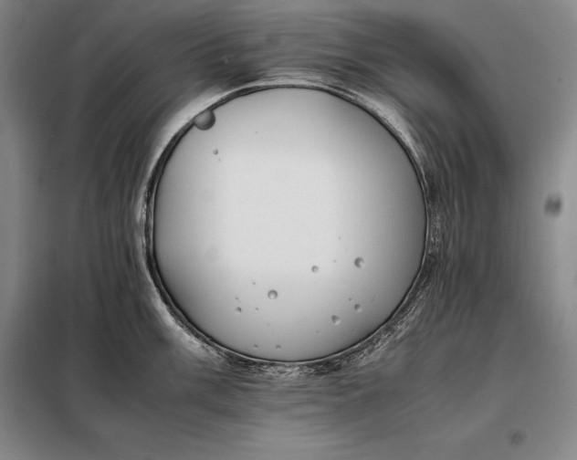 X0000098141003200805011339
