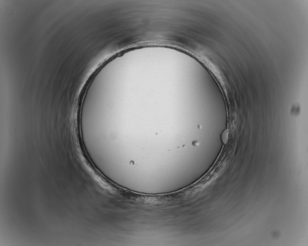 X0000098141005200805011339