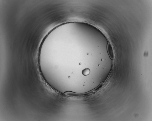 X0000098141008200805011339