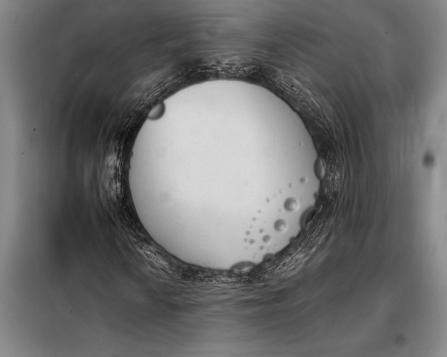X0000098141010200805011339