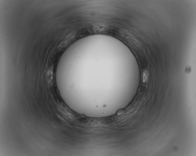 X0000098141011200805011339