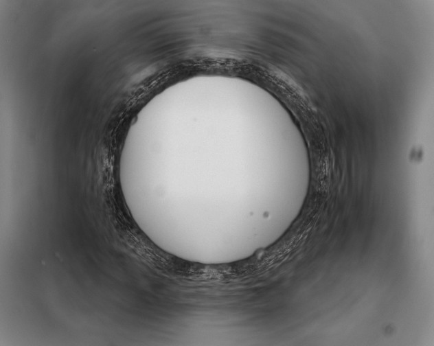 X0000098141013200805011339