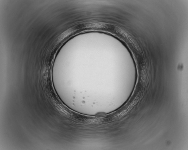 X0000098141017200805011339