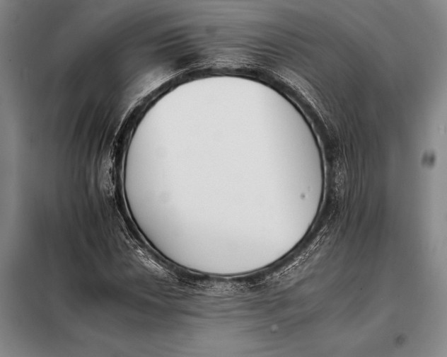 X0000098141018200805011339