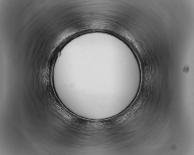 X0000098141019200805011339