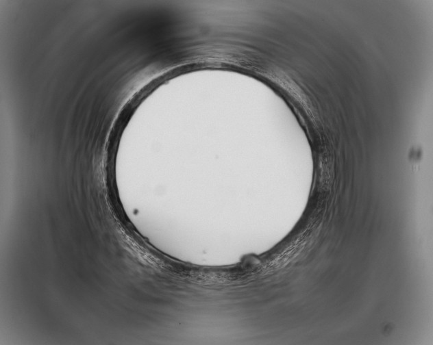 X0000098141020200805011339