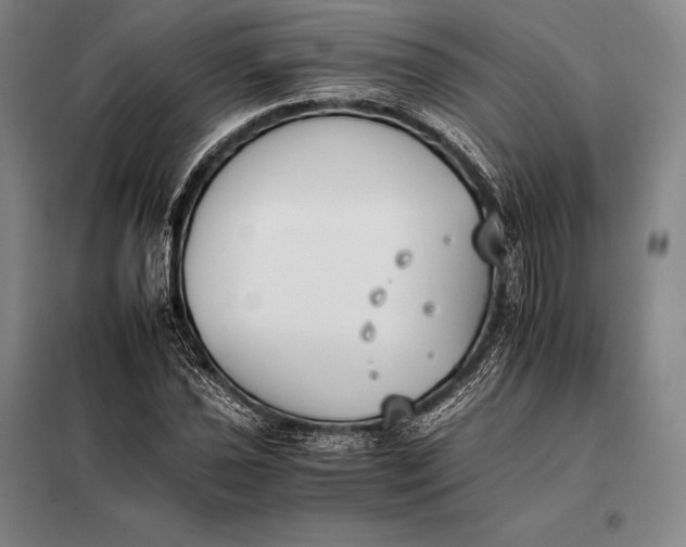 X0000098141021200805011339