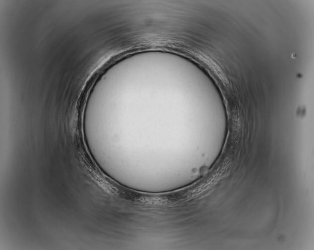X0000098141023200805011339