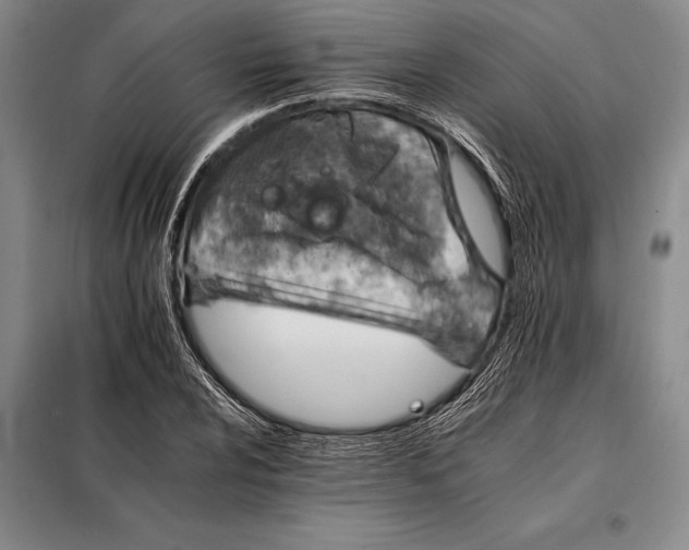 X0000098141024200805011339