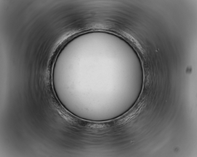 X0000098141027200805011339