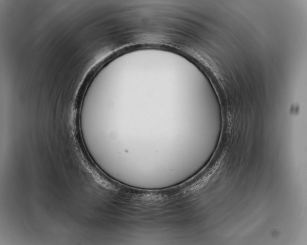 X0000098141029200805011339