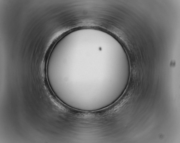 X0000098141030200805011339