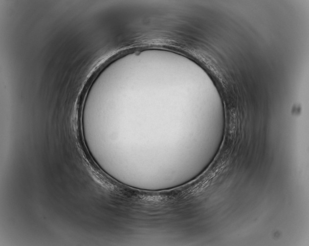 X0000098141031200805011339