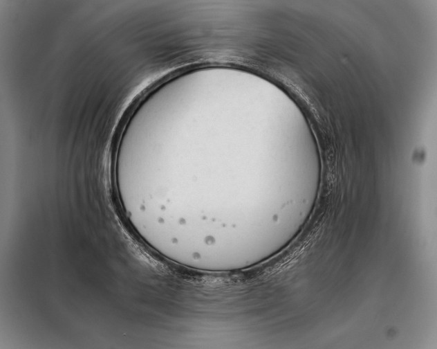X0000098141032200805011339