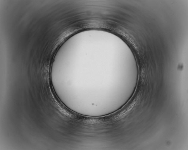 X0000098141033200805011339