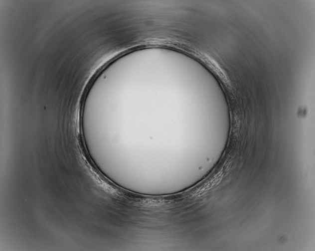 X0000098141036200805011339