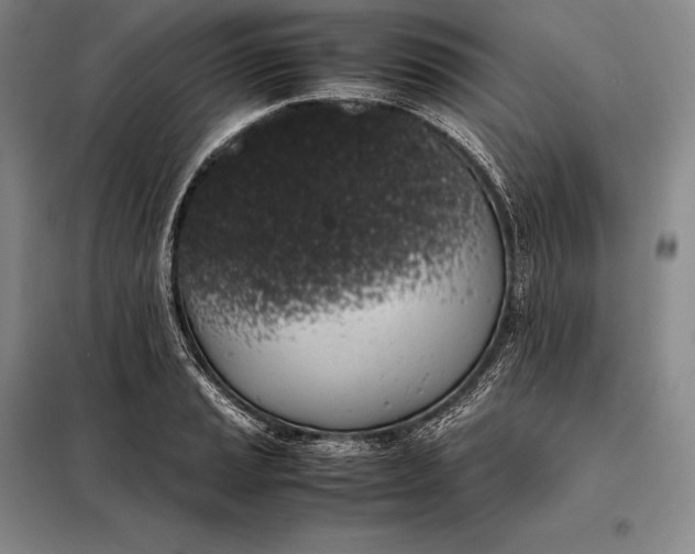 X0000098141037200805011339