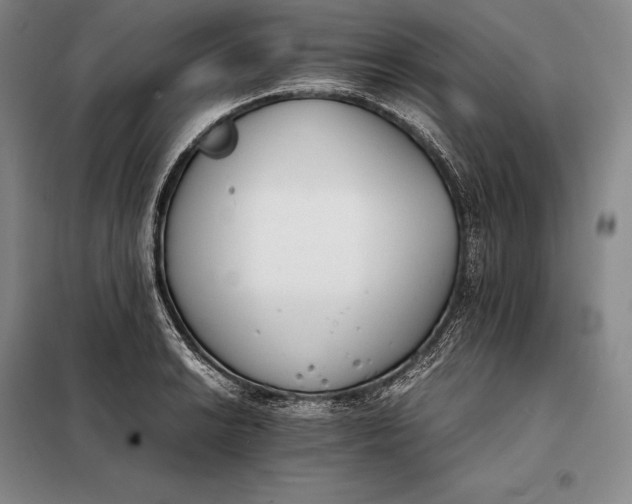 X0000098141038200805011339