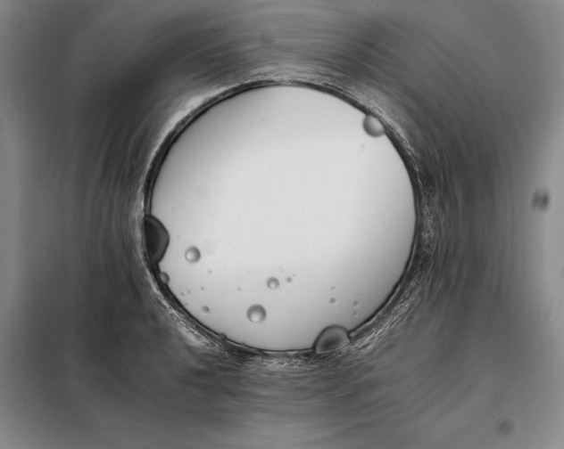 X0000098141040200805011339