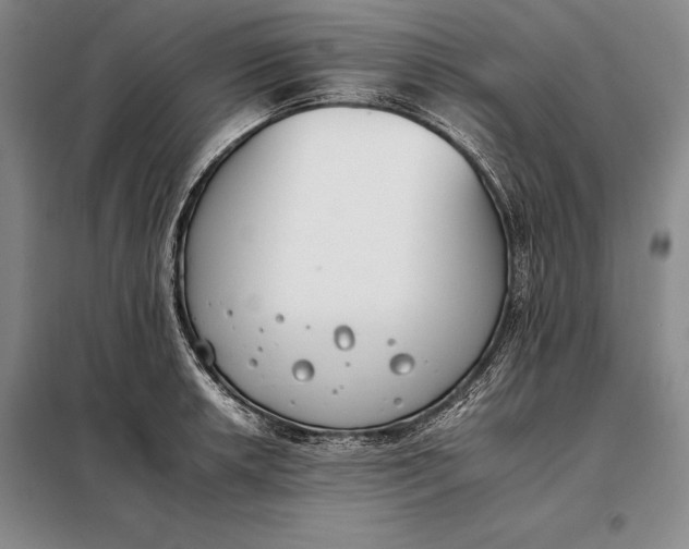 X0000098141042200805011339