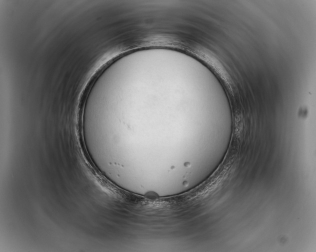 X0000098141043200805011339