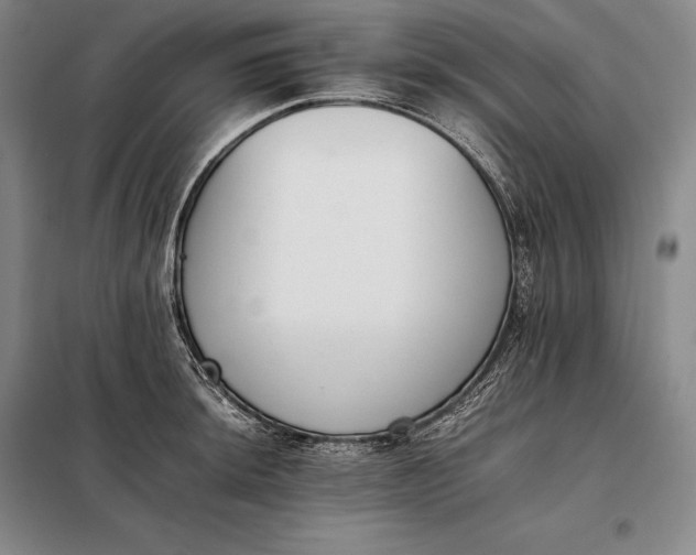X0000098141044200805011339