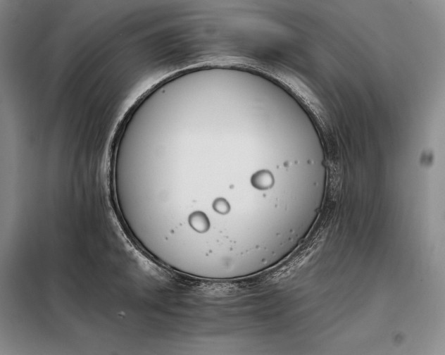 X0000098141046200805011339