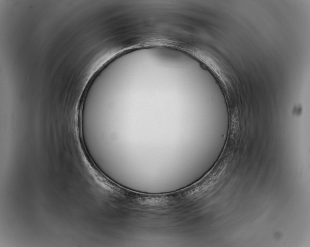 X0000098141047200805011339