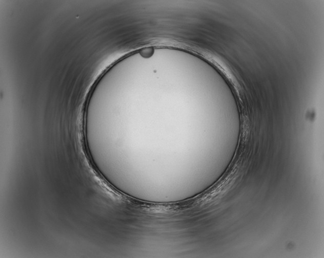X0000098141048200805011339