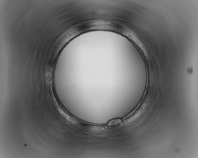 X0000098141049200805011339