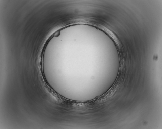 X0000098141051200805011339