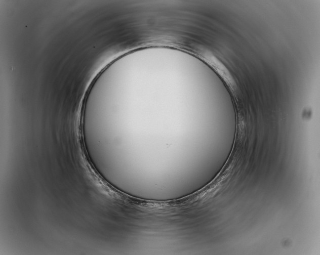 X0000098141052200805011339