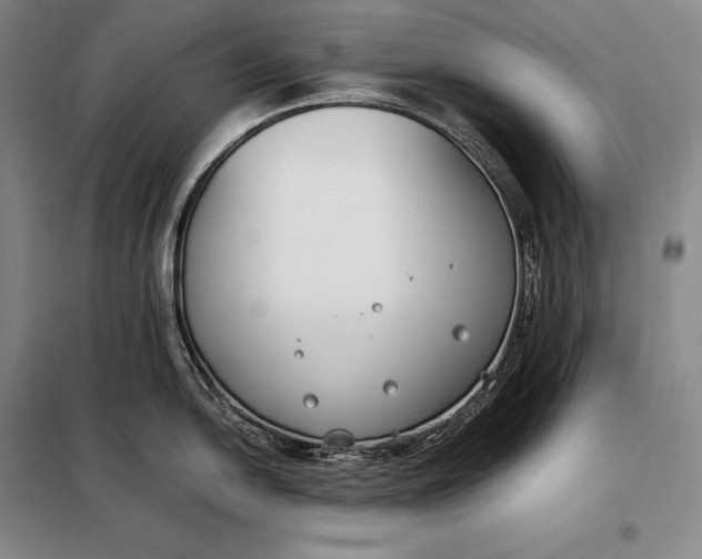 X0000098141054200805011339