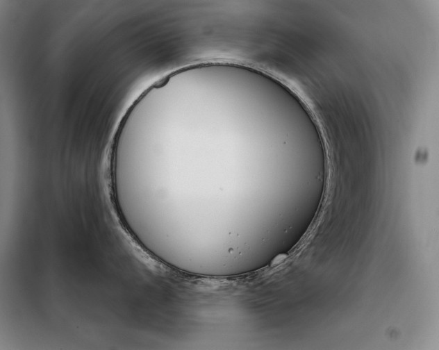 X0000098141056200805011339
