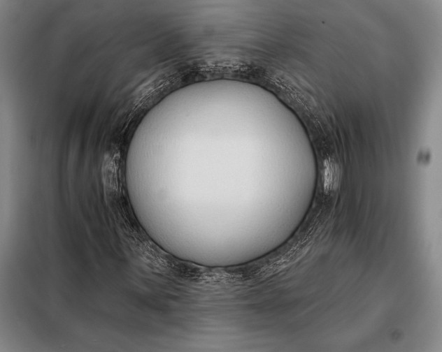 X0000098141059200805011339