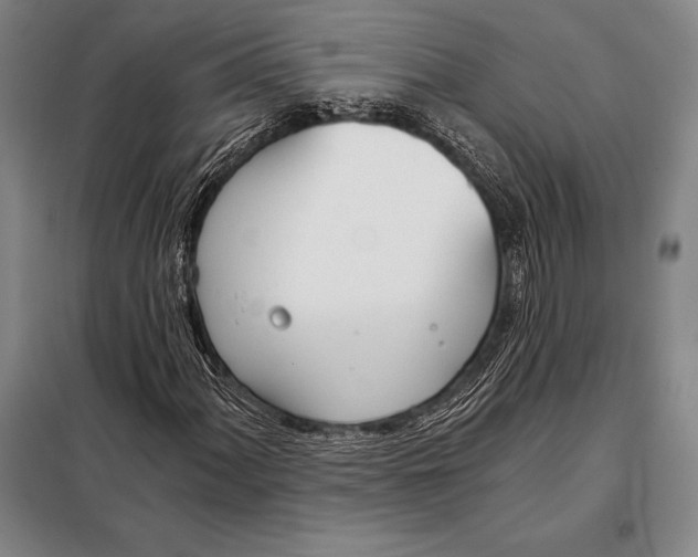 X0000098141060200805011339