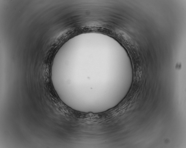 X0000098141062200805011339