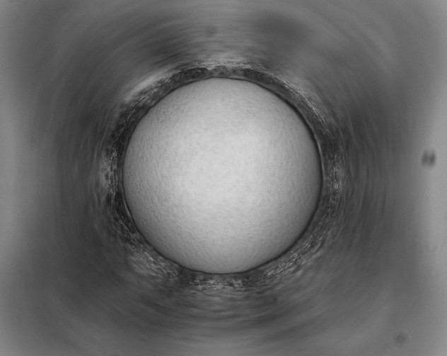 X0000098141063200805011338