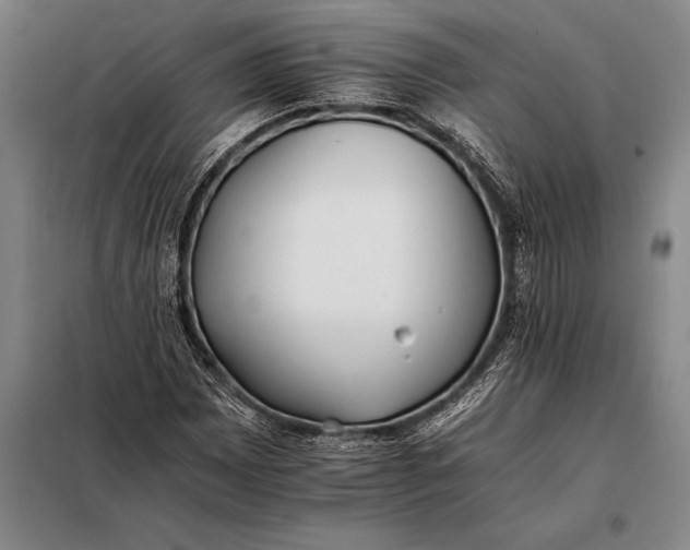 X0000098141065200805011338