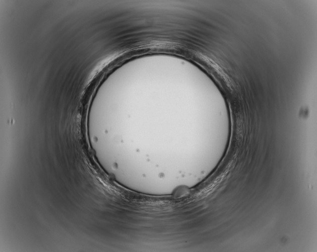 X0000098141066200805011338