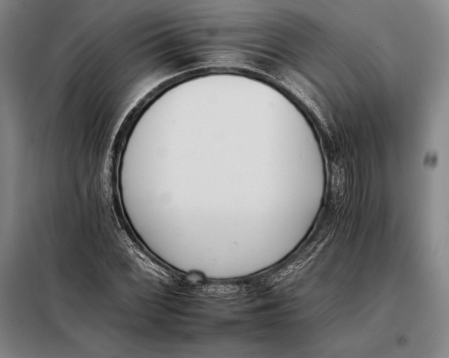 X0000098141068200805011338