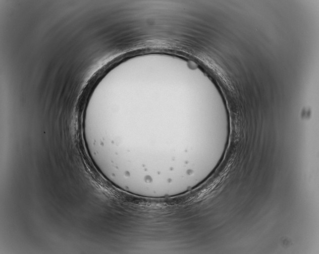 X0000098141070200805011338