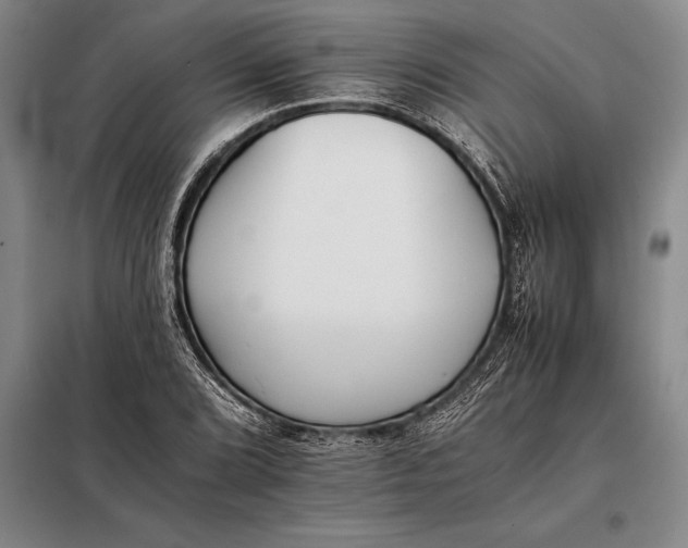 X0000098141072200805011338
