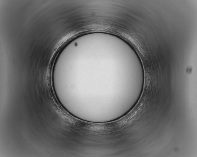 X0000098141074200805011338
