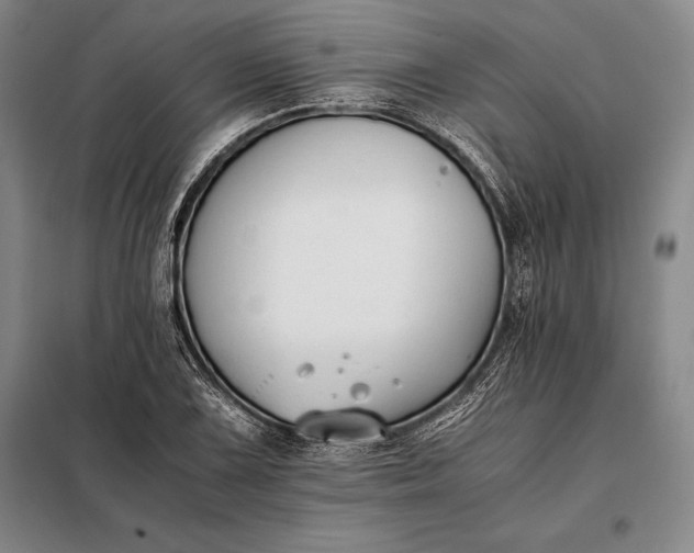 X0000098141075200805011338